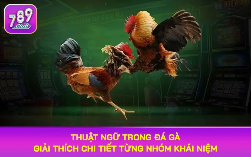 thuật ngữ trong đá gà